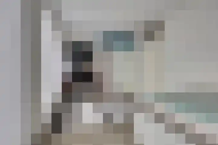 Hoefkade 717 Den Haag thumbnail 27