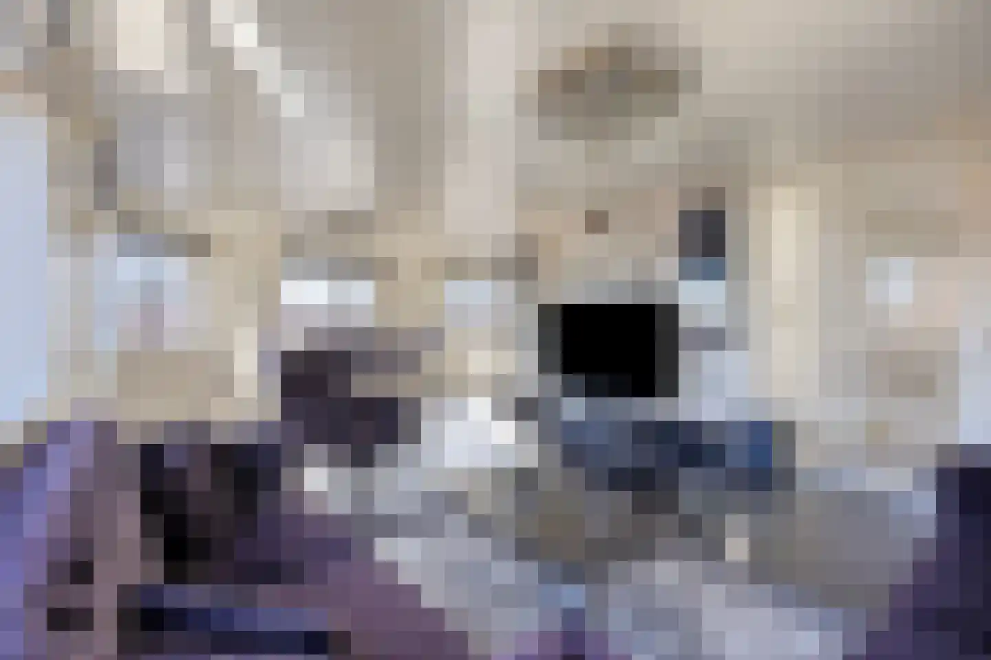Hoefkade 863 Den Haag thumbnail 10