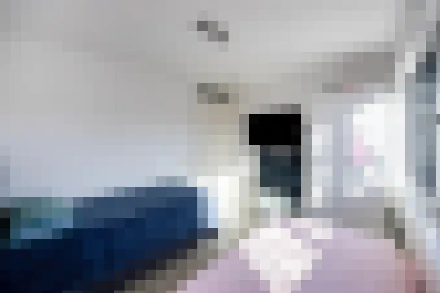 Hoefkade 863 Den Haag thumbnail 29