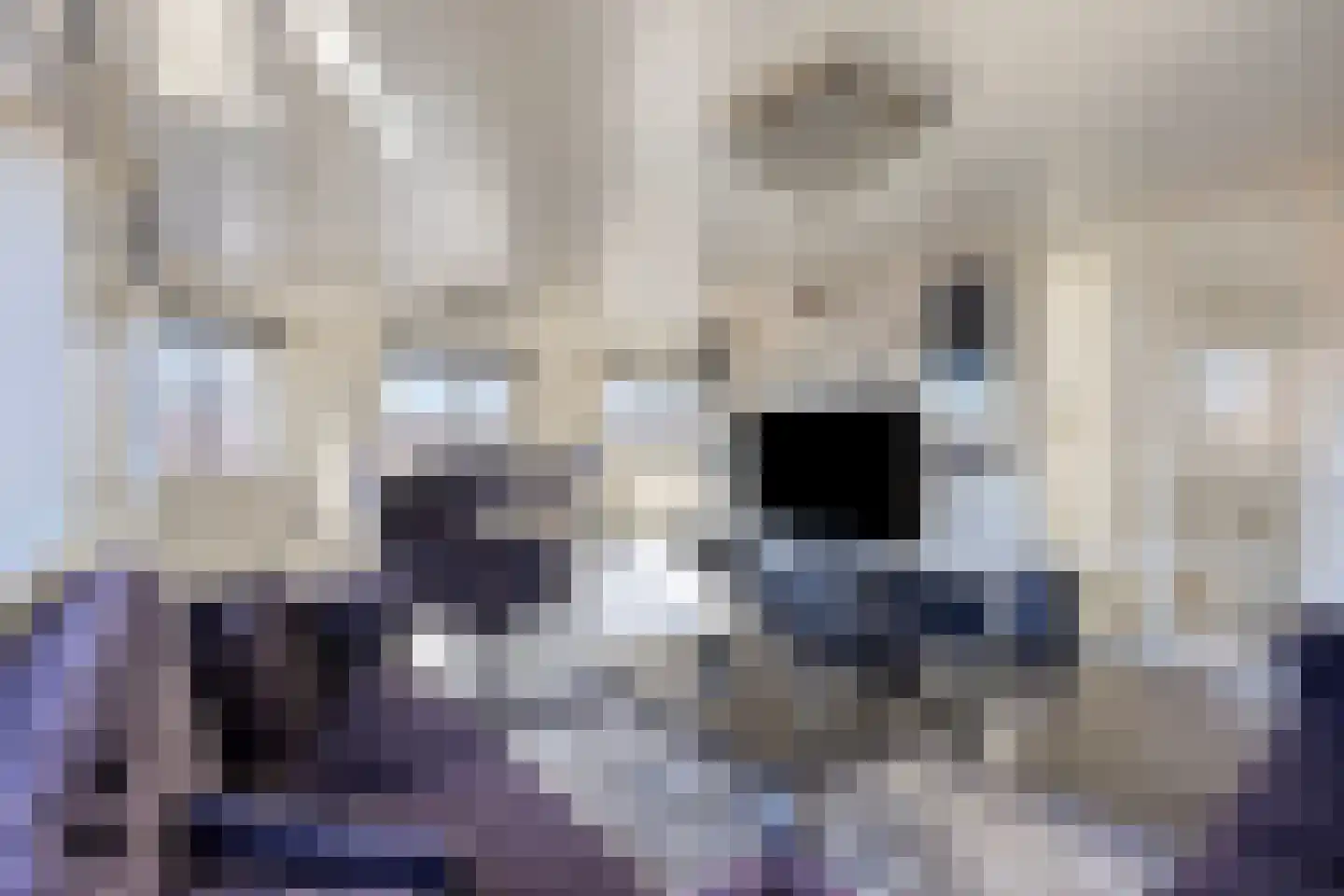 Hoefkade 863 Den Haag thumbnail 9