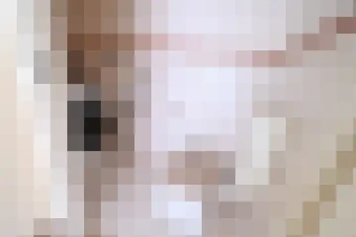 Hoefkade 871 Den Haag thumbnail 8