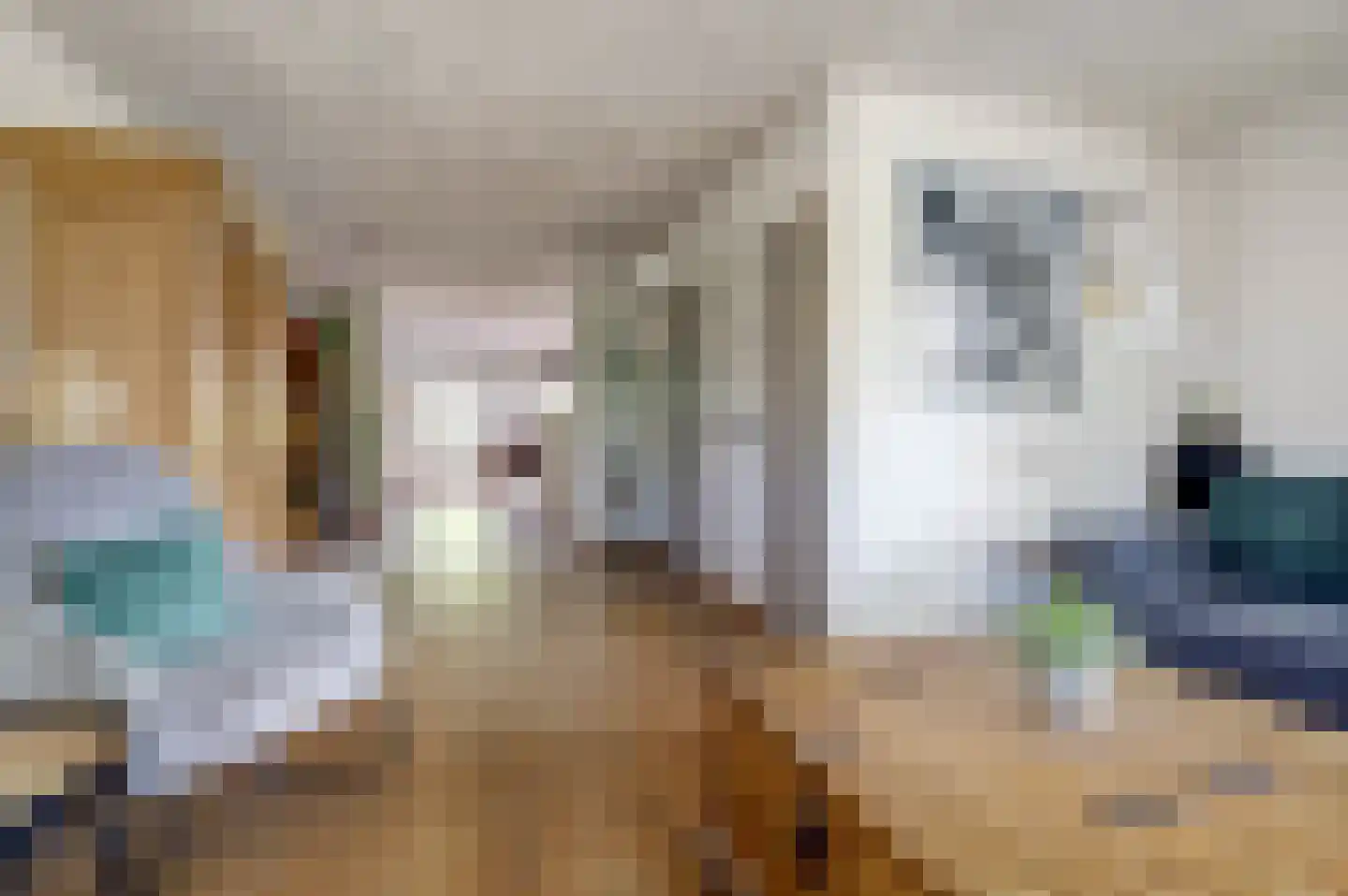 Hoefke 12 Dongen thumbnail 14