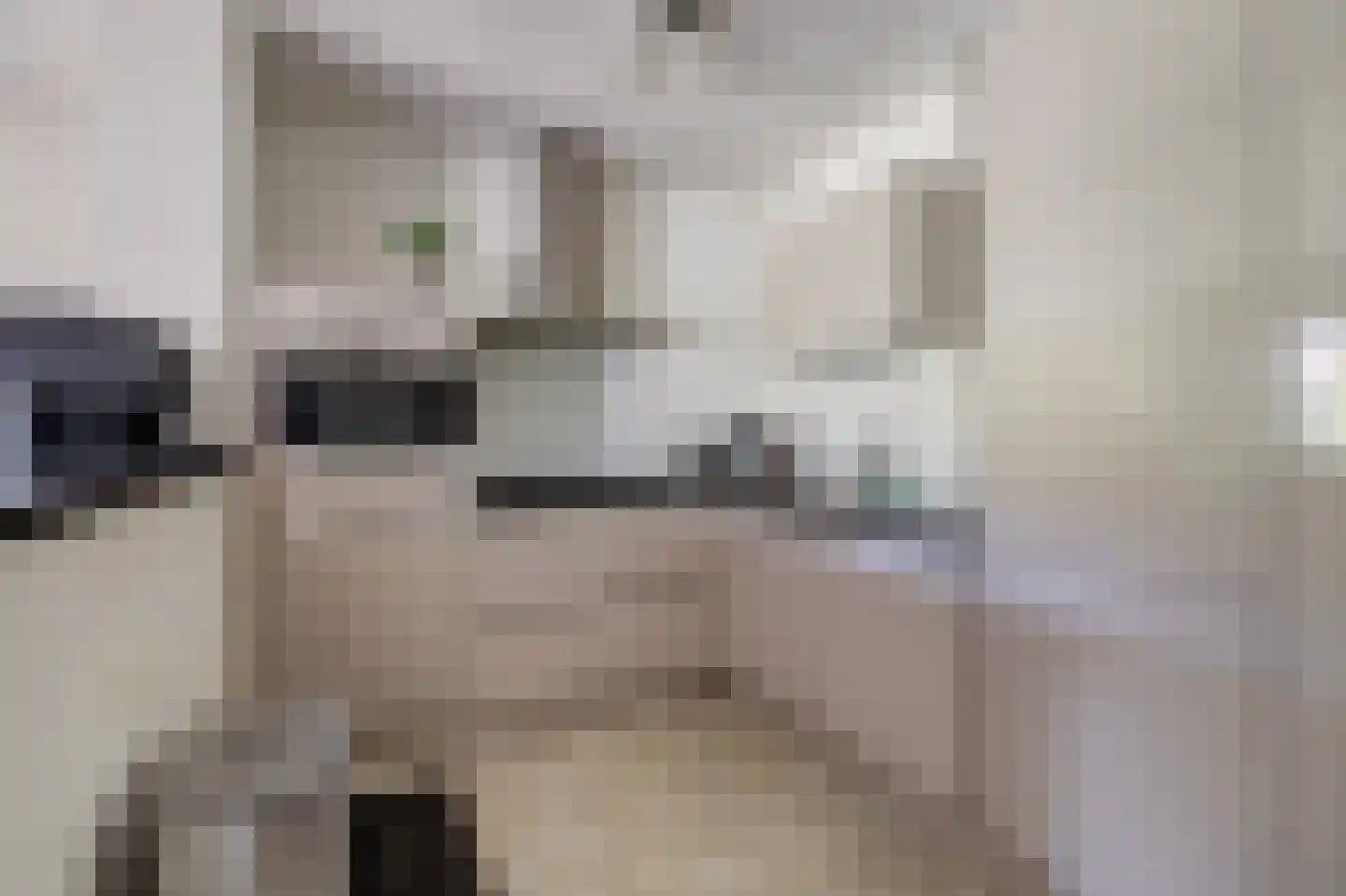 Hoefke 12 Dongen thumbnail 21