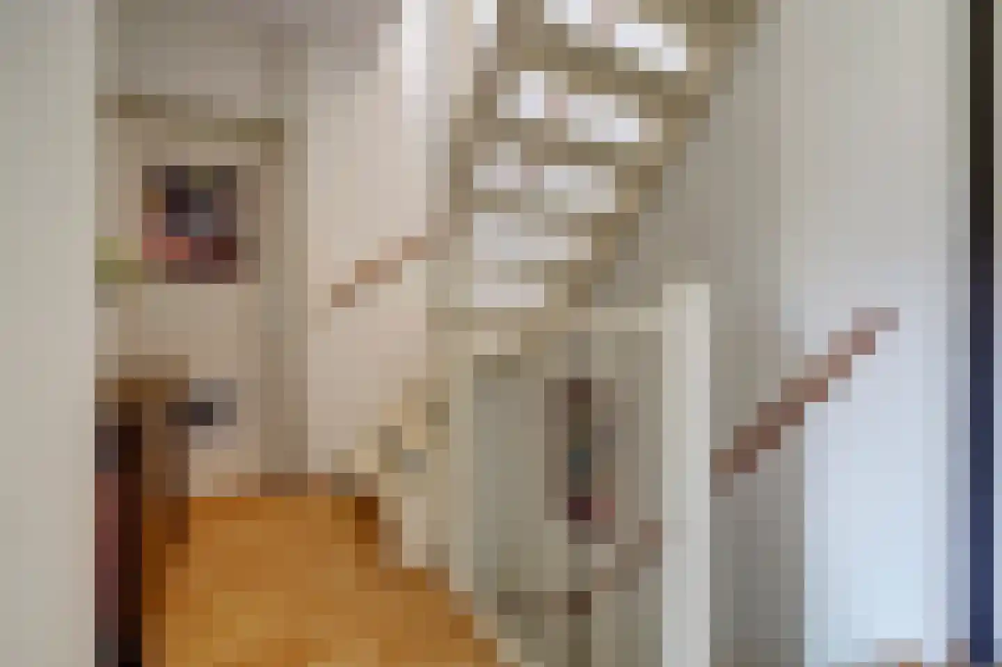 Hoefke 12 Dongen thumbnail 23