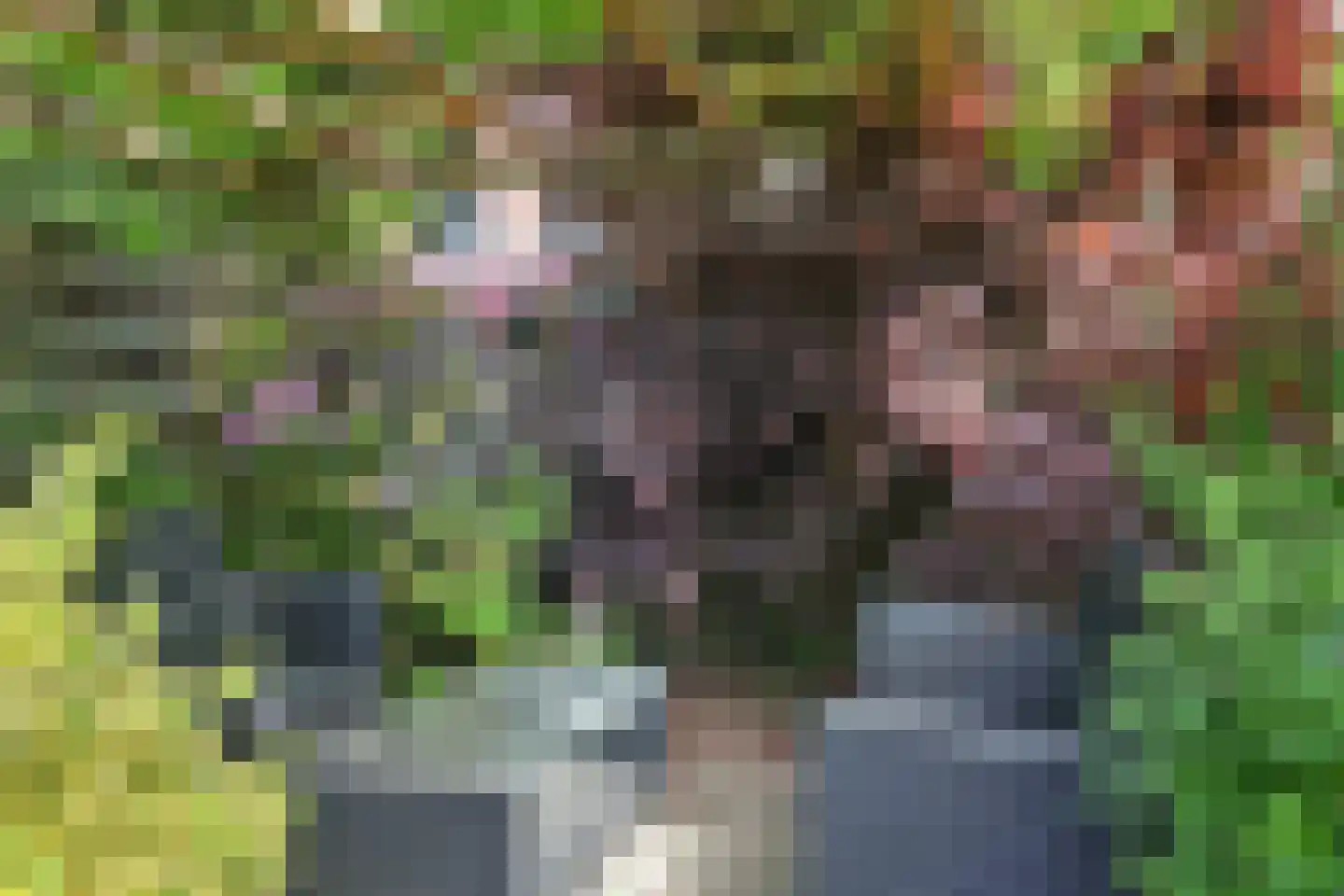 Hoefke 12 Dongen thumbnail 35