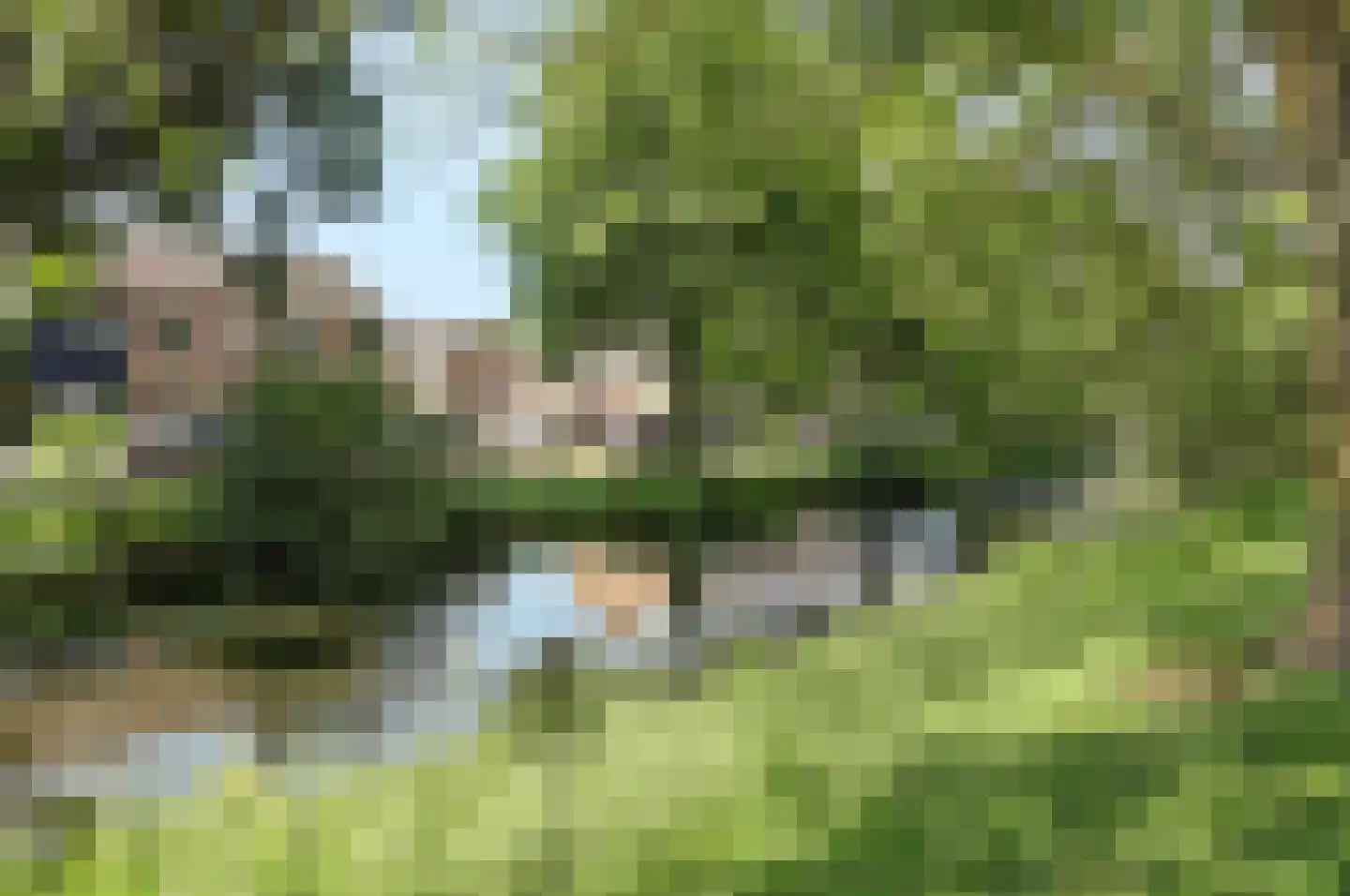 Hoefke 12 Dongen thumbnail 40