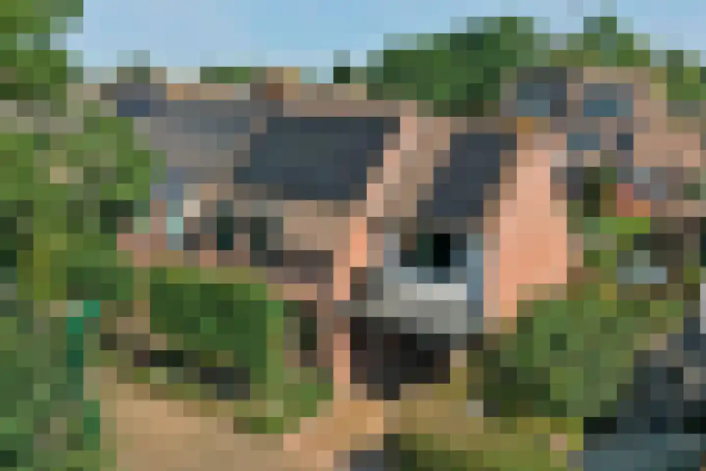 Hoefke 12 Dongen thumbnail 5