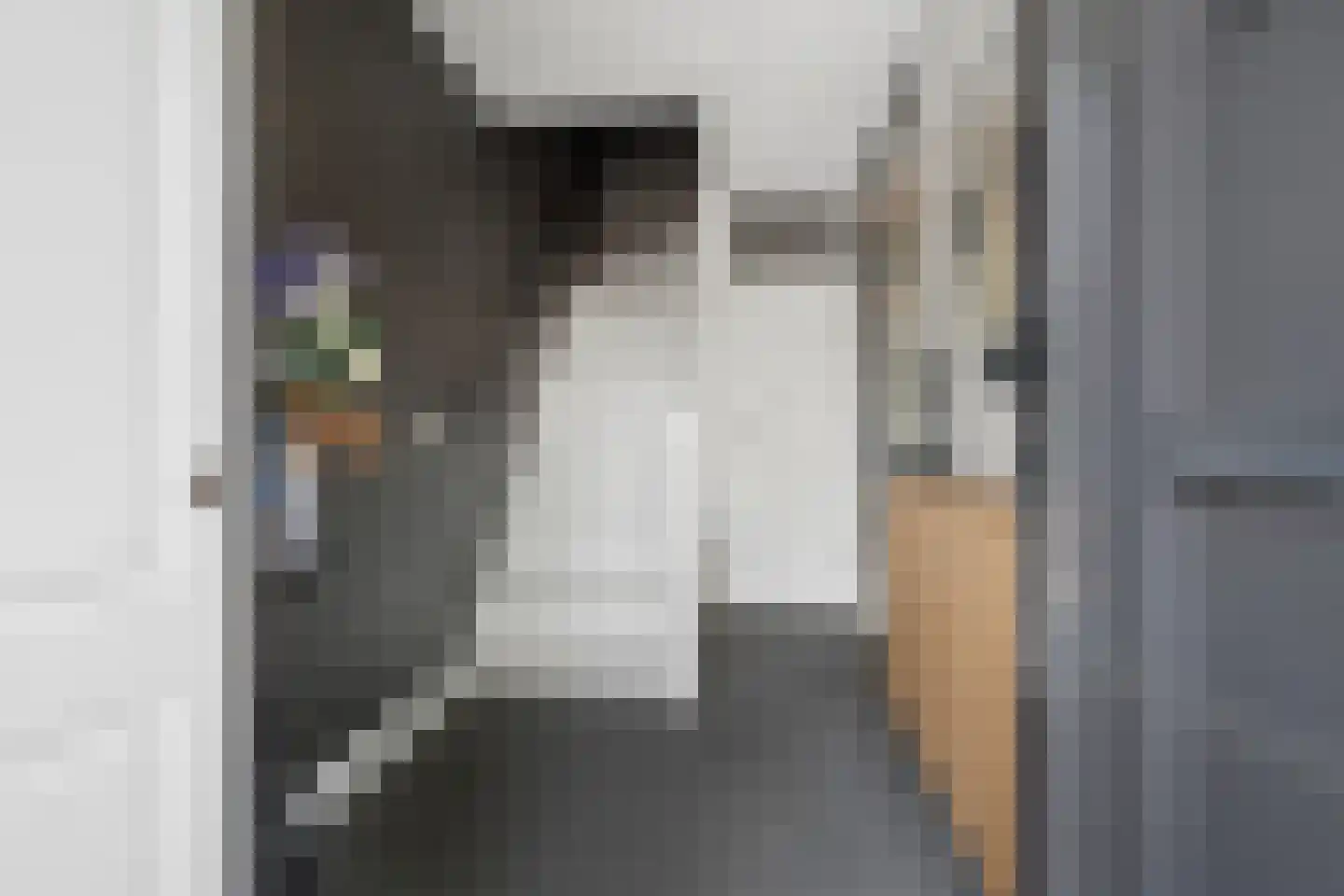Hoefke 2 Bavel thumbnail 15