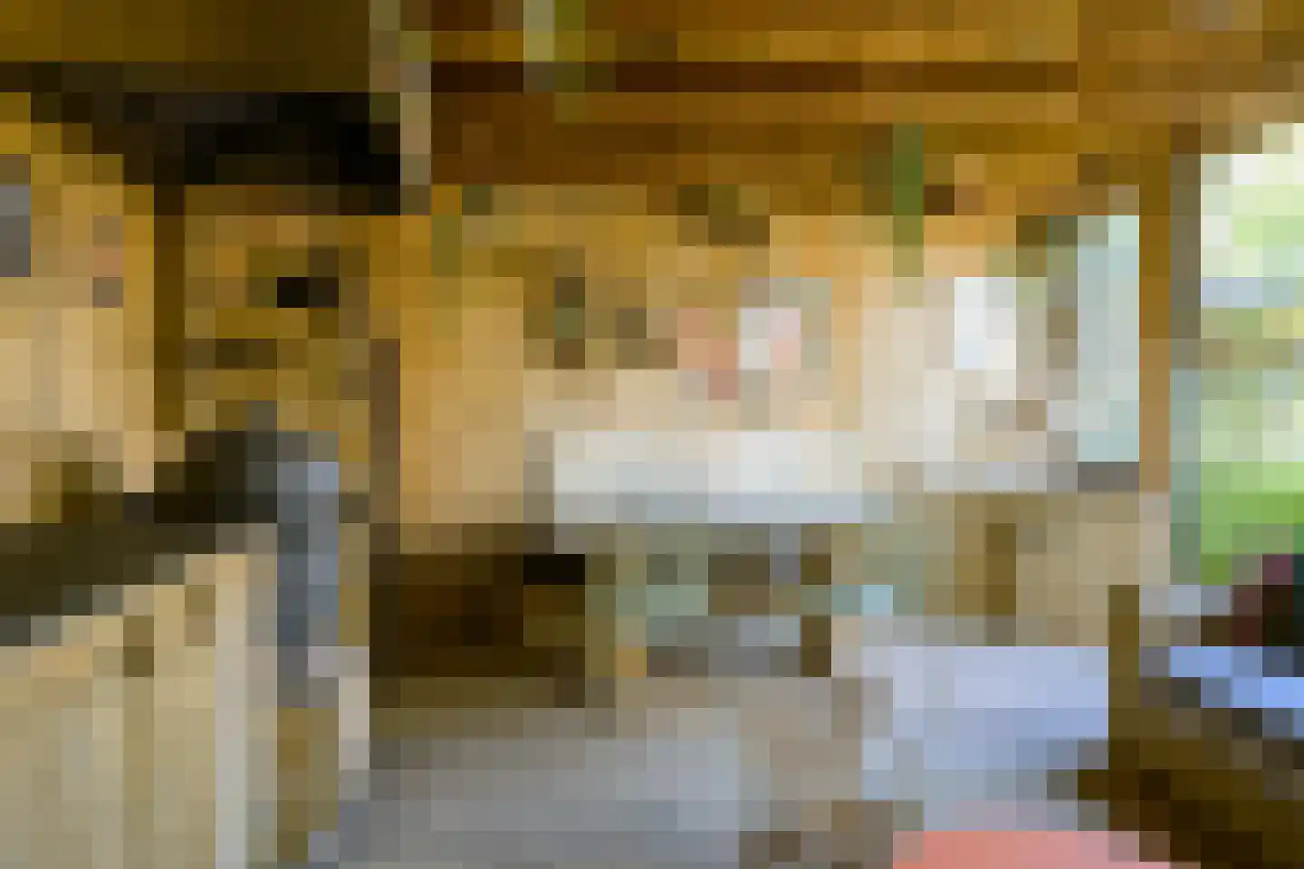 Hoefke 2 Bavel thumbnail 48