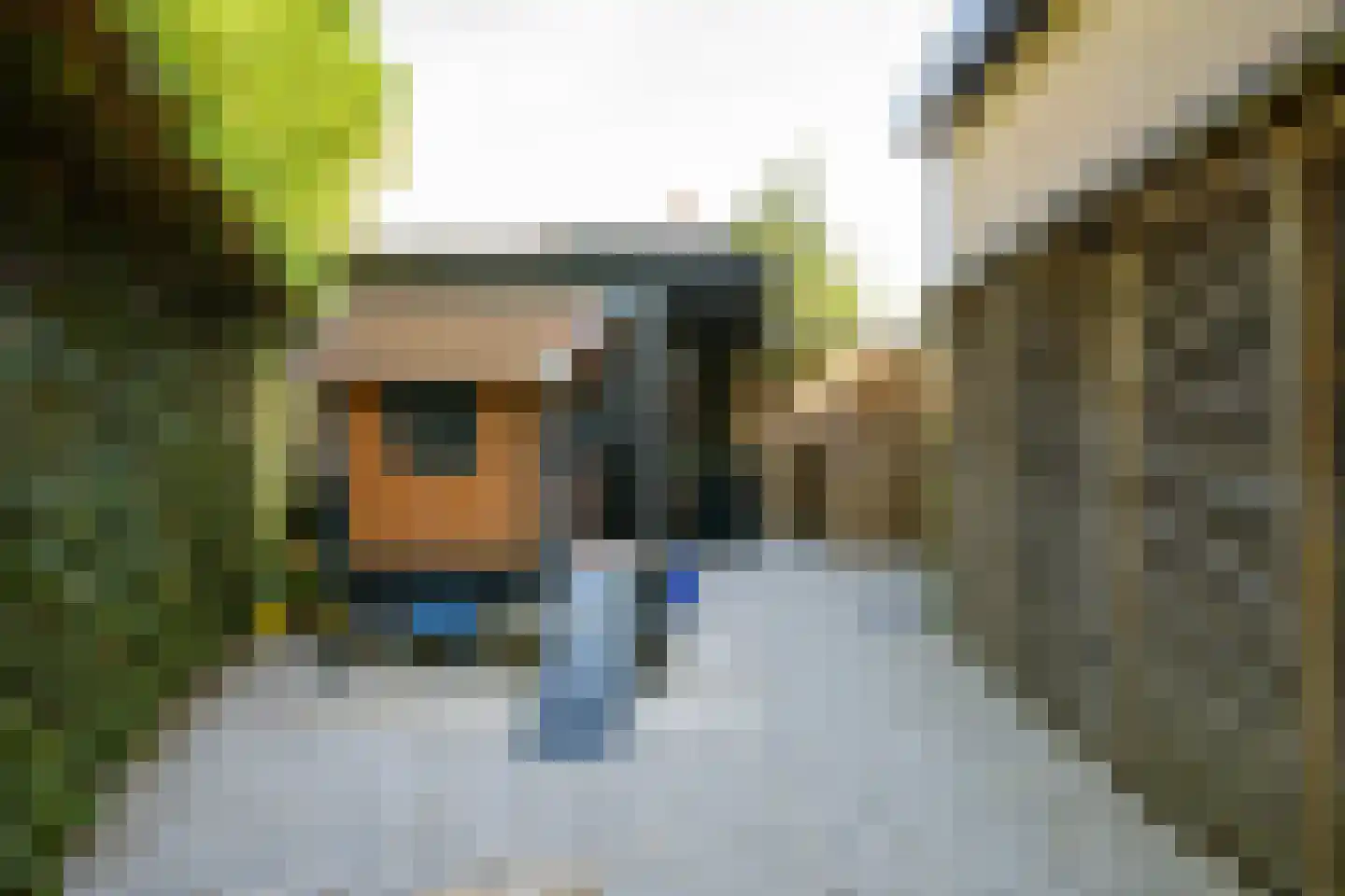Hoefke 2 Bavel thumbnail 51