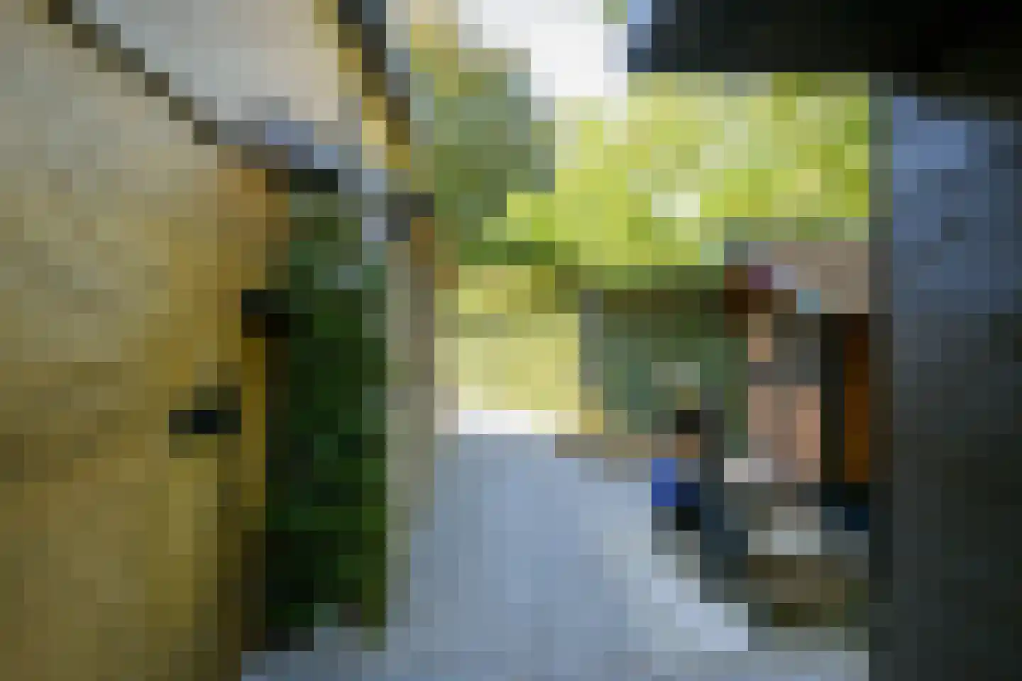 Hoefke 2 Bavel thumbnail 53