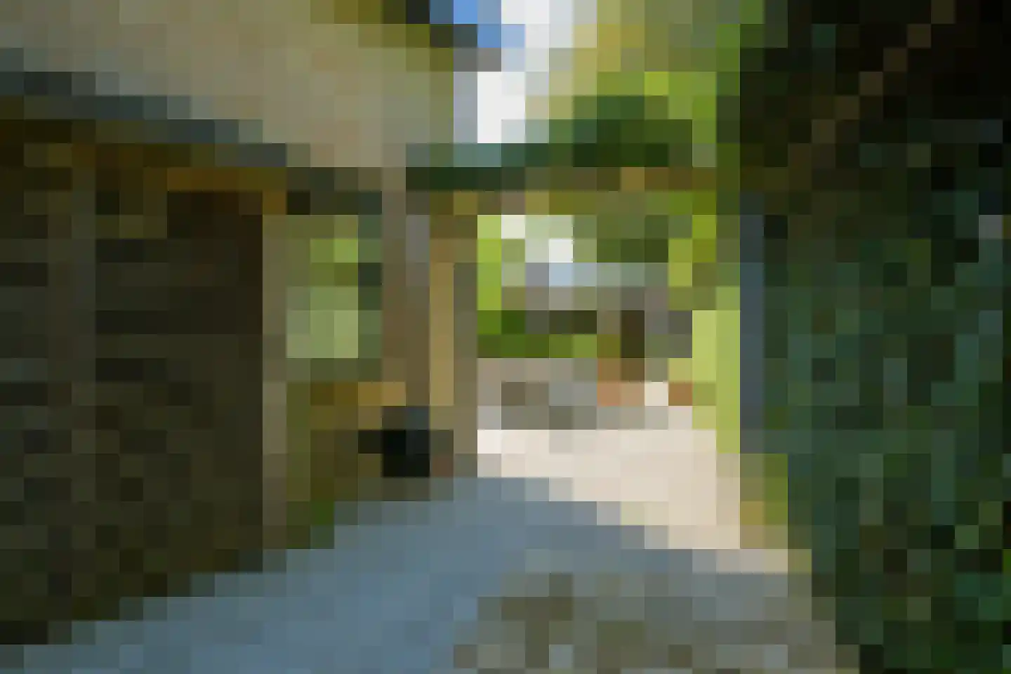 Hoefke 2 Bavel thumbnail 54