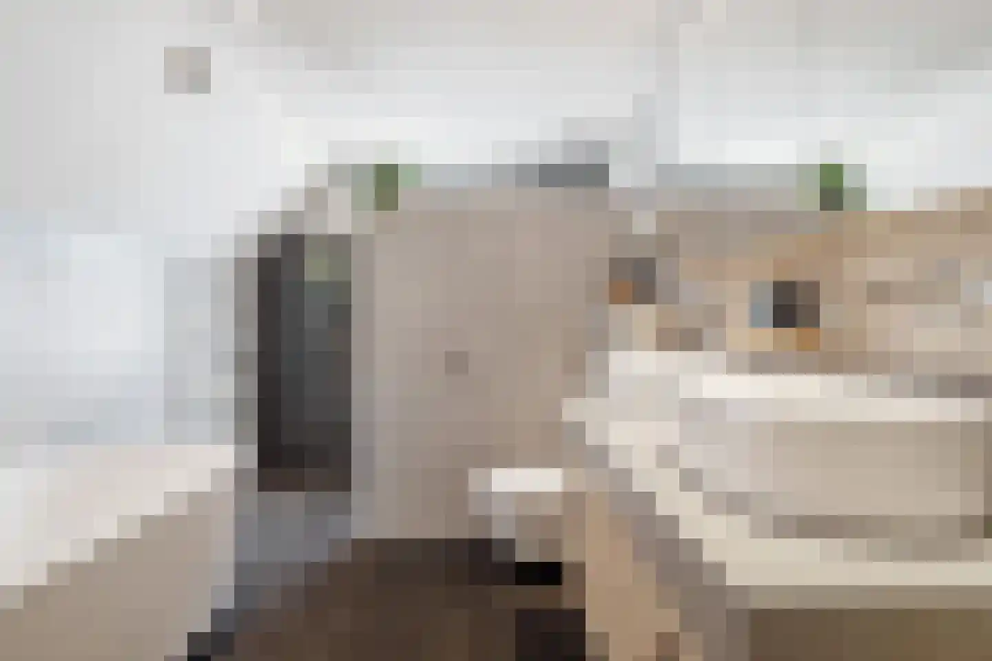 Hoefke 2 Bavel thumbnail 64
