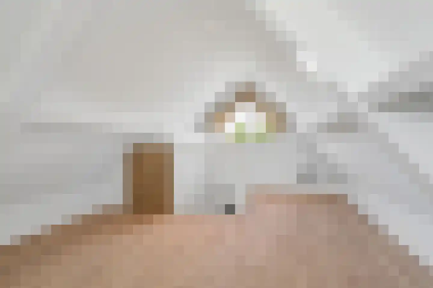 Hoefke 2 Bavel thumbnail 68