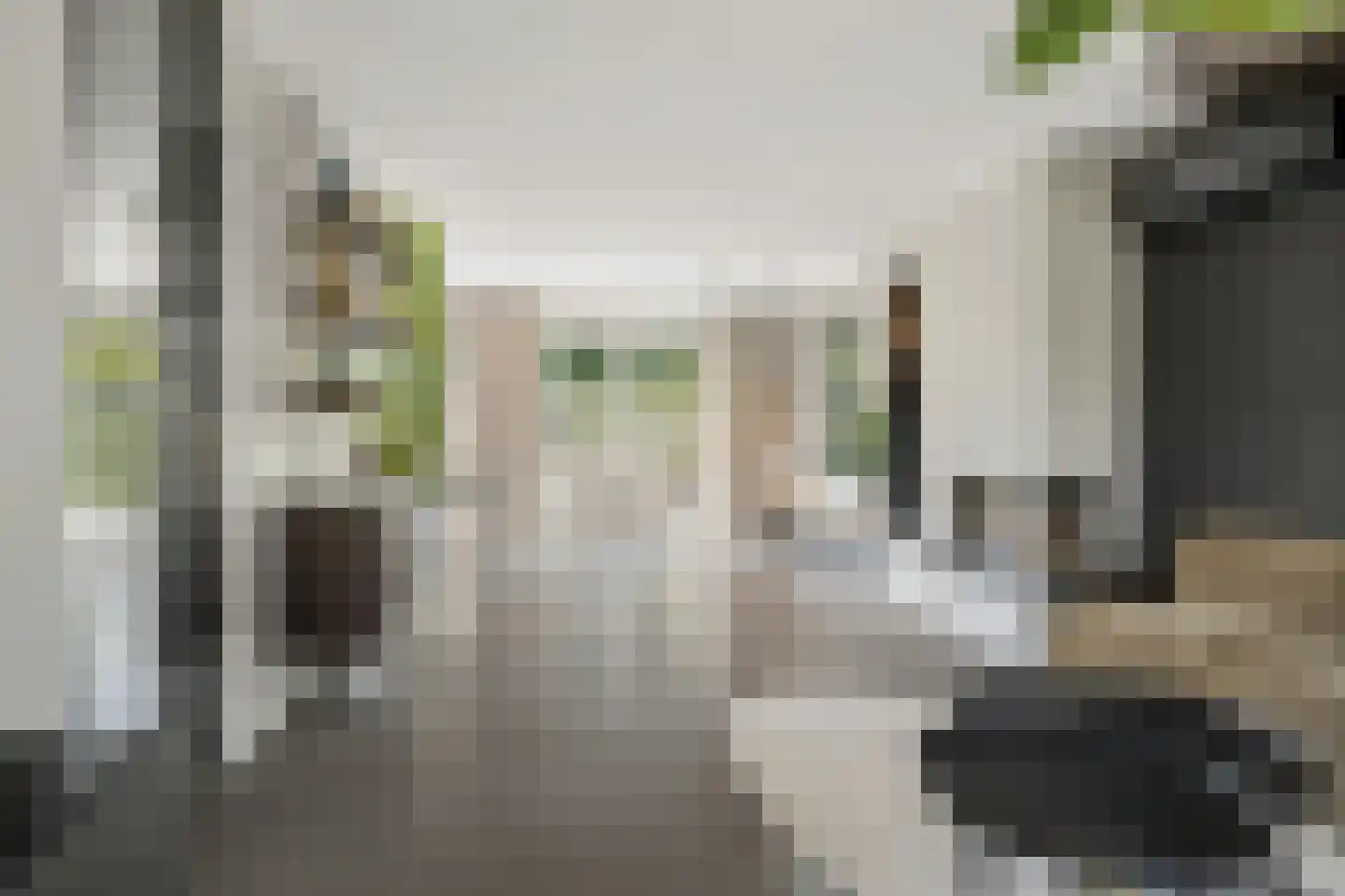 Hoefke 2 Bavel thumbnail 8