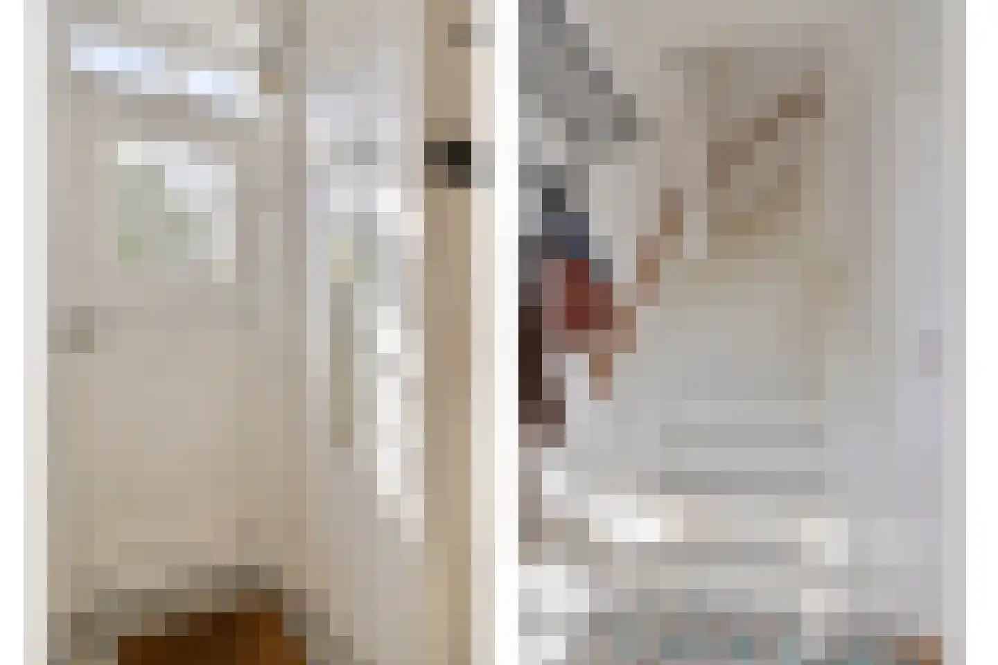 Hoefke 8 Dongen thumbnail 10
