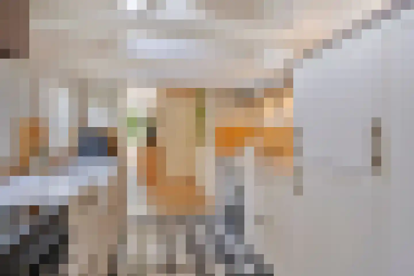 Hoefke 8 Dongen thumbnail 16