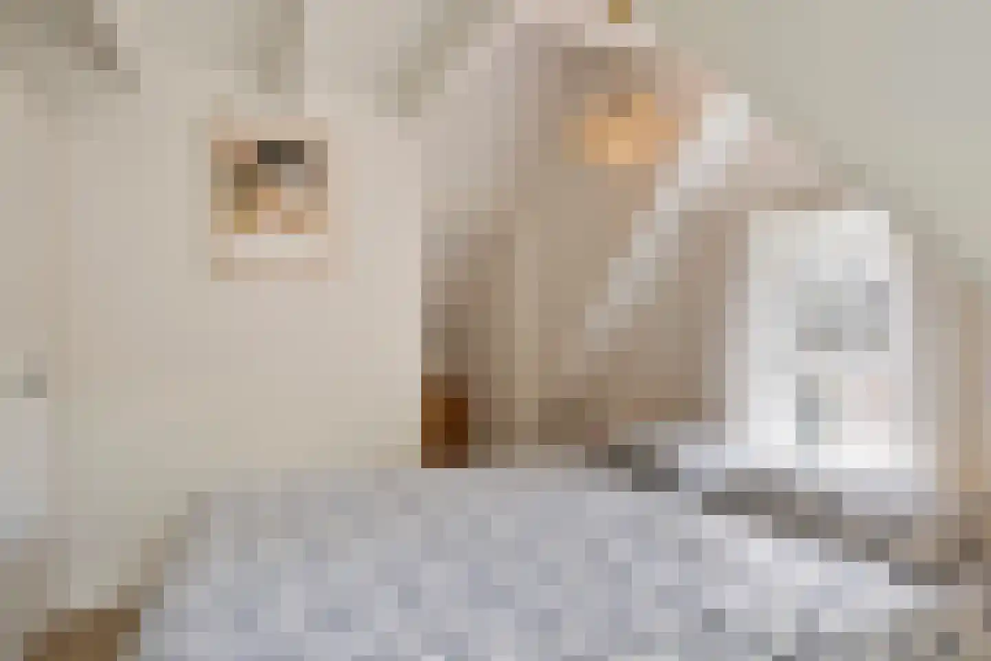 Hoefke 8 Dongen thumbnail 20