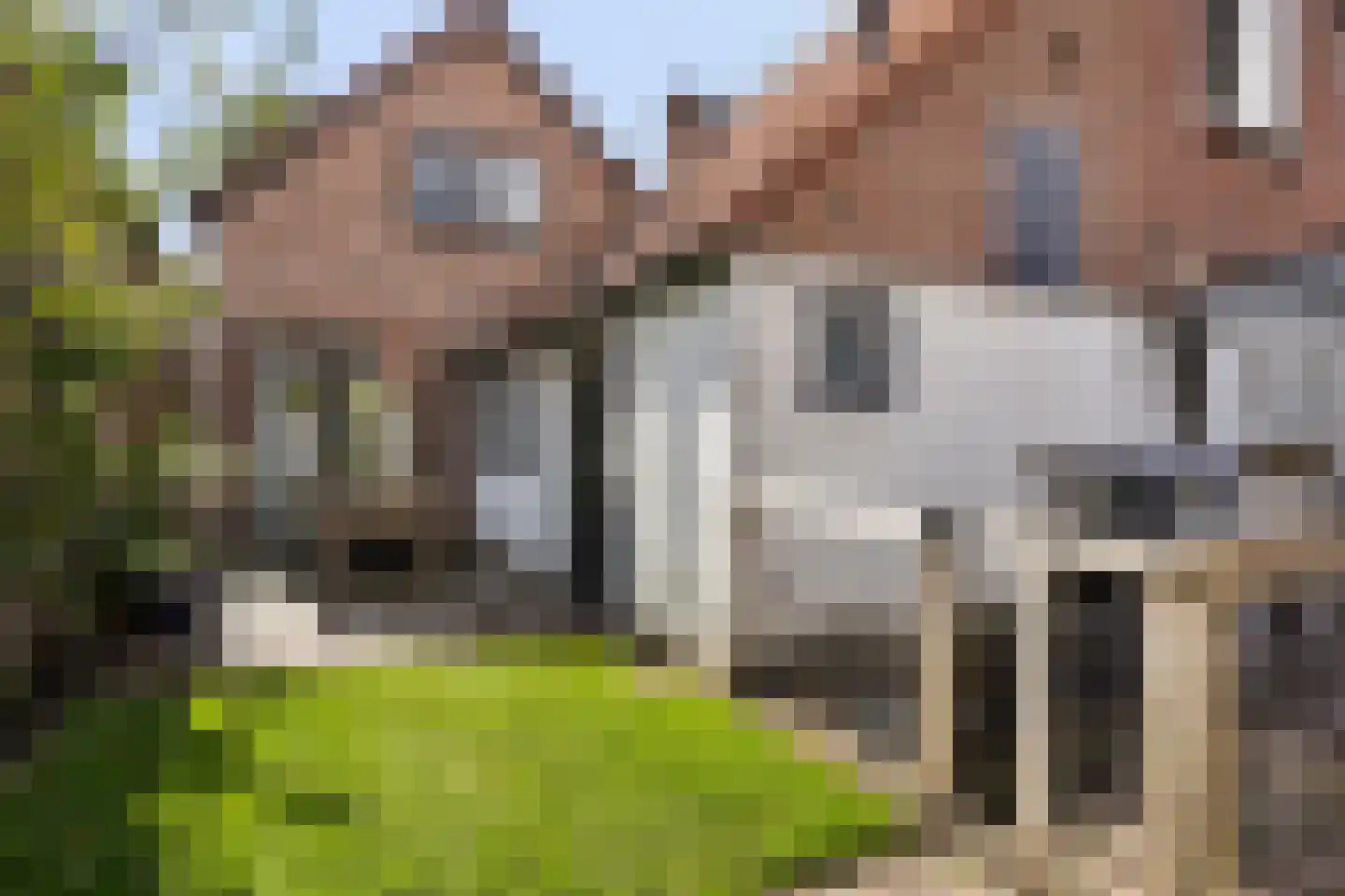 Hoefke 8 Dongen thumbnail 29