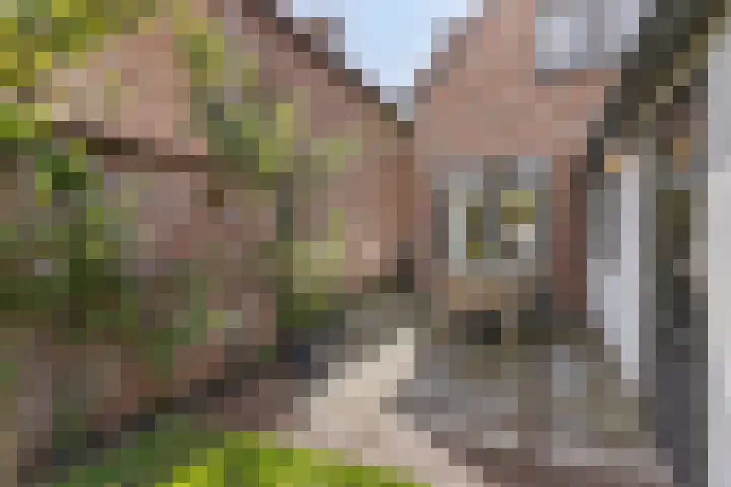 Hoefke 8 Dongen thumbnail 30