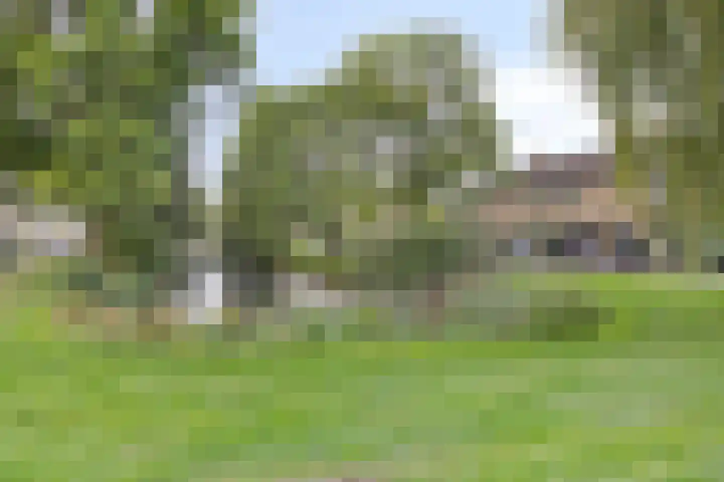 Hoefke 8 Dongen thumbnail 36