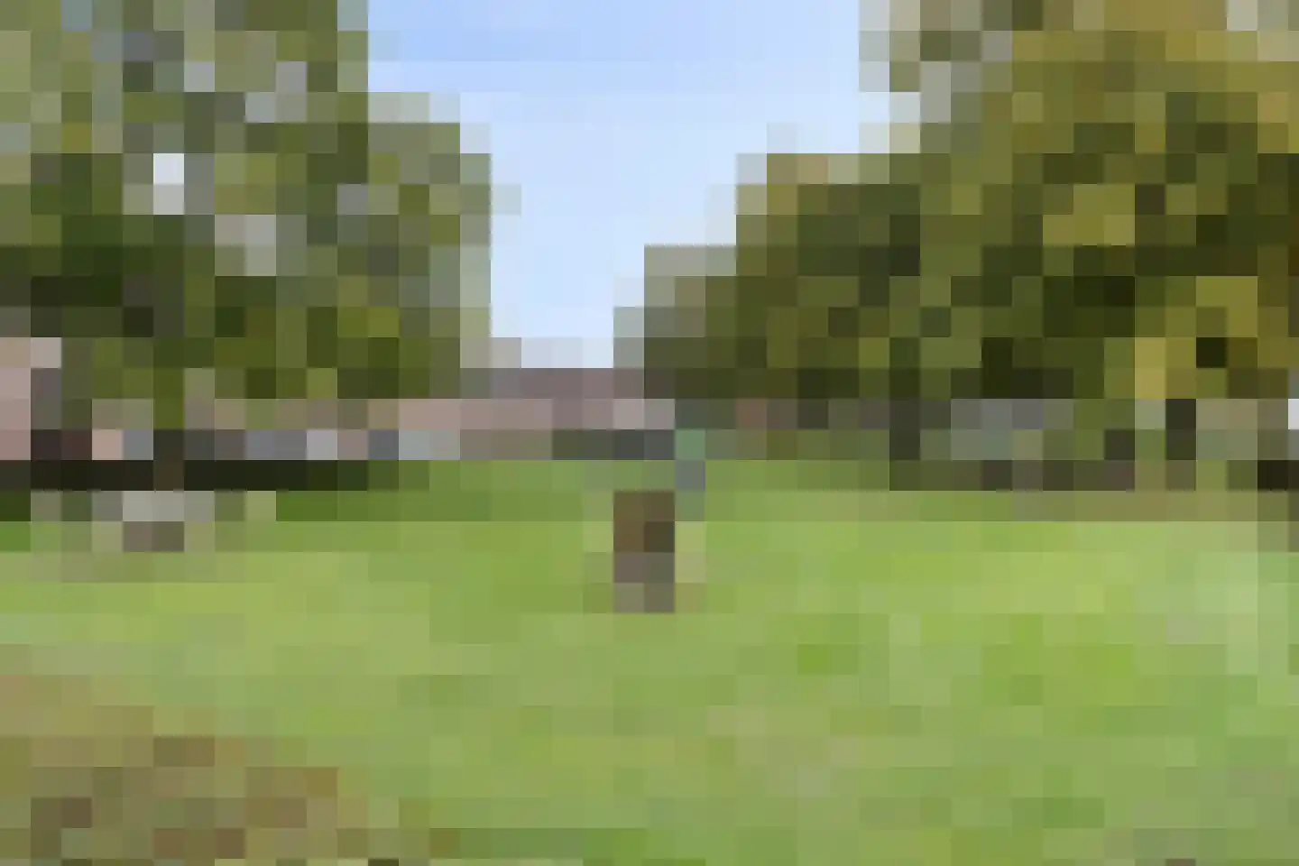 Hoefke 8 Dongen thumbnail 37