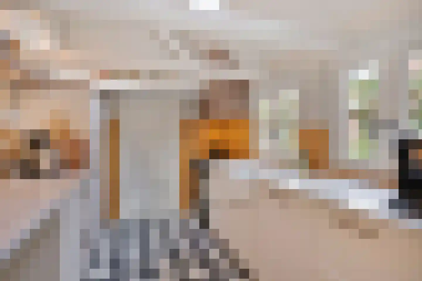 Hoefke 8 Dongen thumbnail 4
