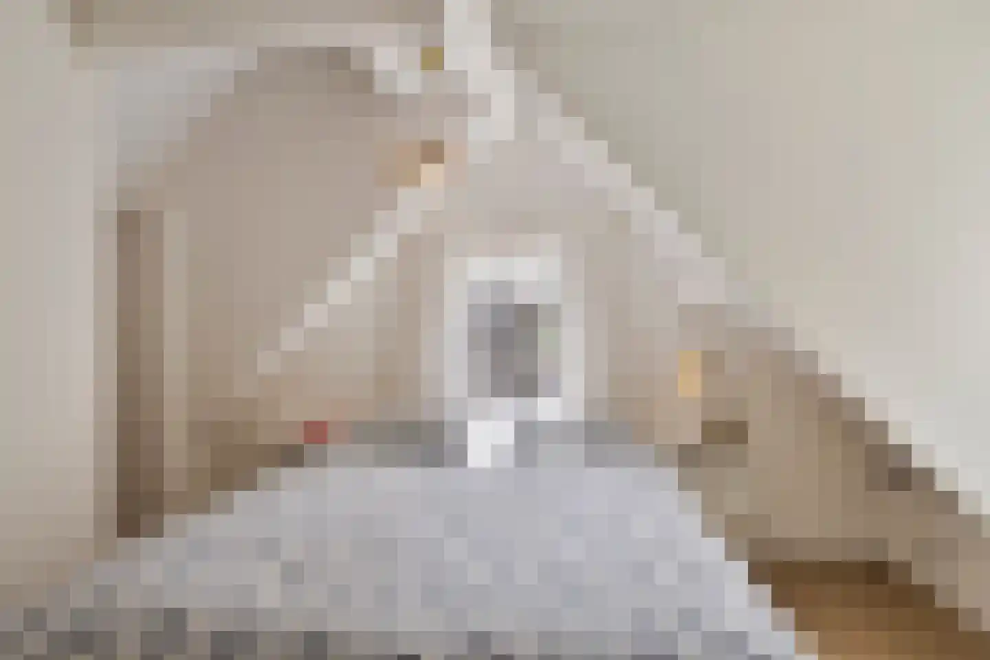 Hoefke 8 Dongen thumbnail 5