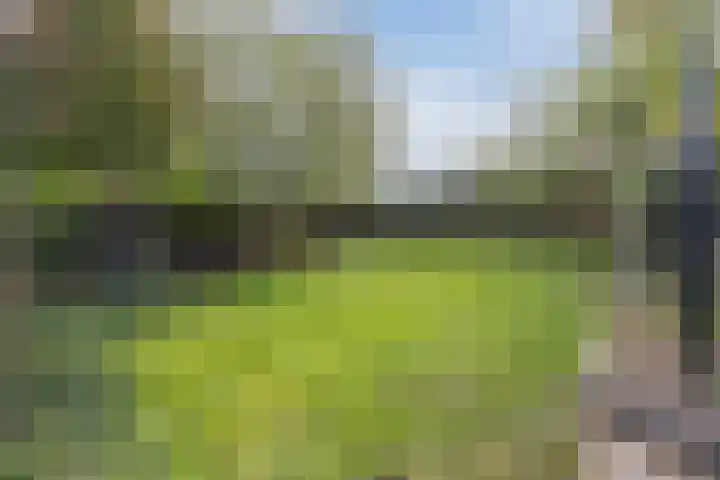 Hoefkensdijk 14 Kuitaart thumbnail 30