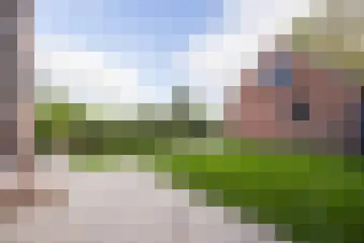 Hoefkensdijk 14 Kuitaart thumbnail 32