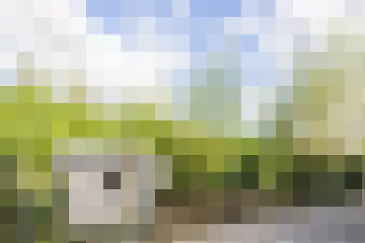 Hoefkensdijk 14 Kuitaart thumbnail 34
