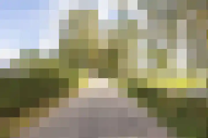 Hoefkensdijk 14 Kuitaart thumbnail 39