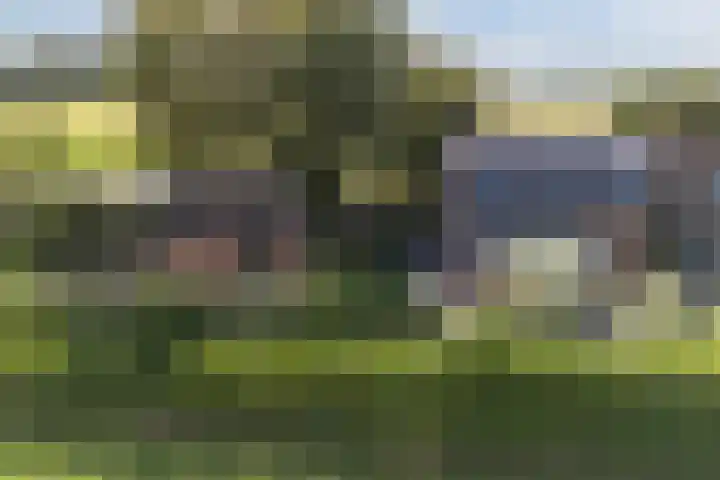 Hoefkensdijk 14 Kuitaart thumbnail 41