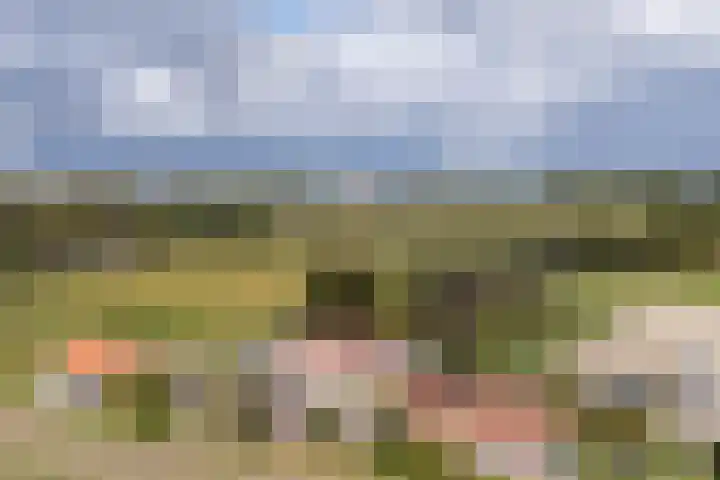 Hoefkensdijk 14 Kuitaart thumbnail 44