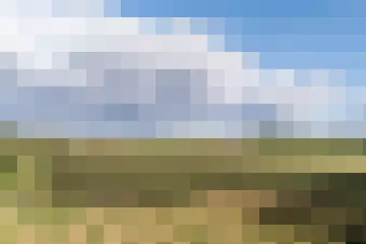 Hoefkensdijk 14 Kuitaart thumbnail 45