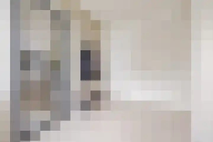 Hoefkensdijk 14 Kuitaart thumbnail 7