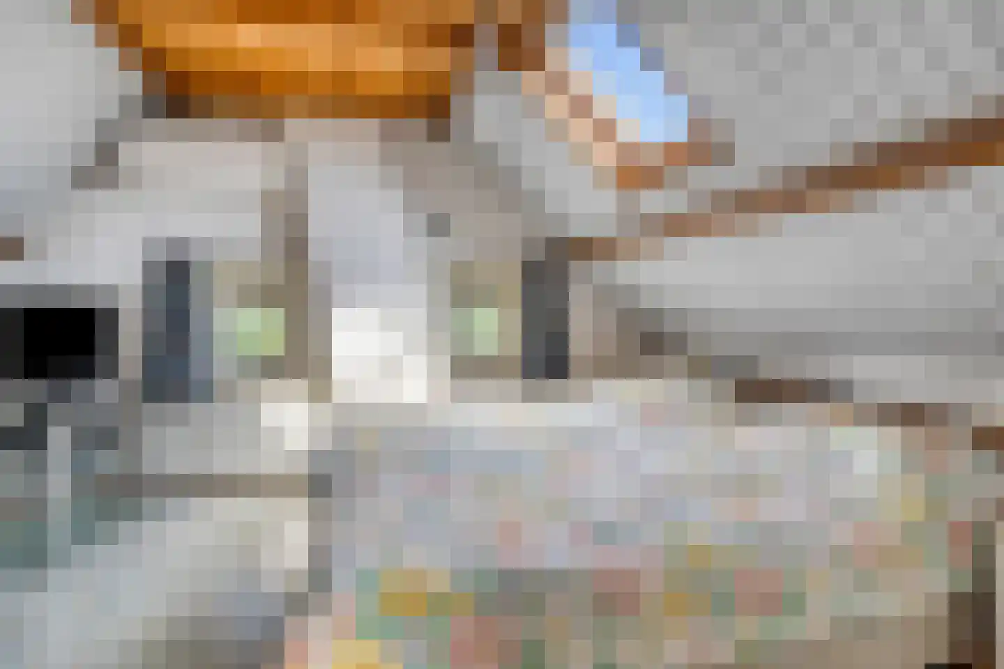 Hoefkensdijk 9 Kuitaart thumbnail 19
