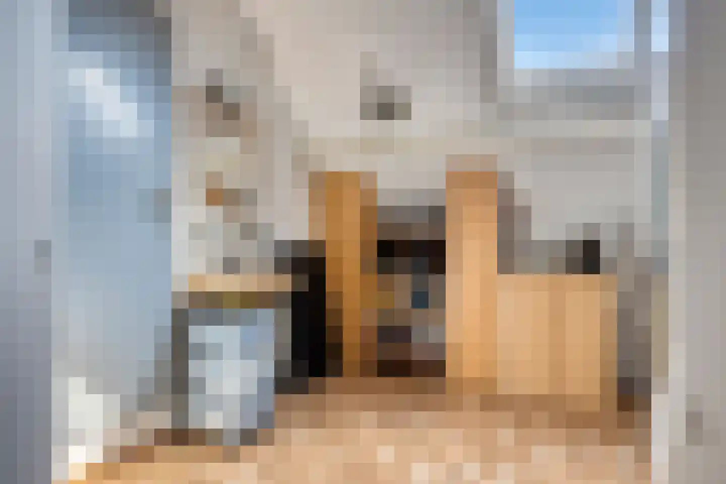 Hoefkensdijk 9 Kuitaart thumbnail 22