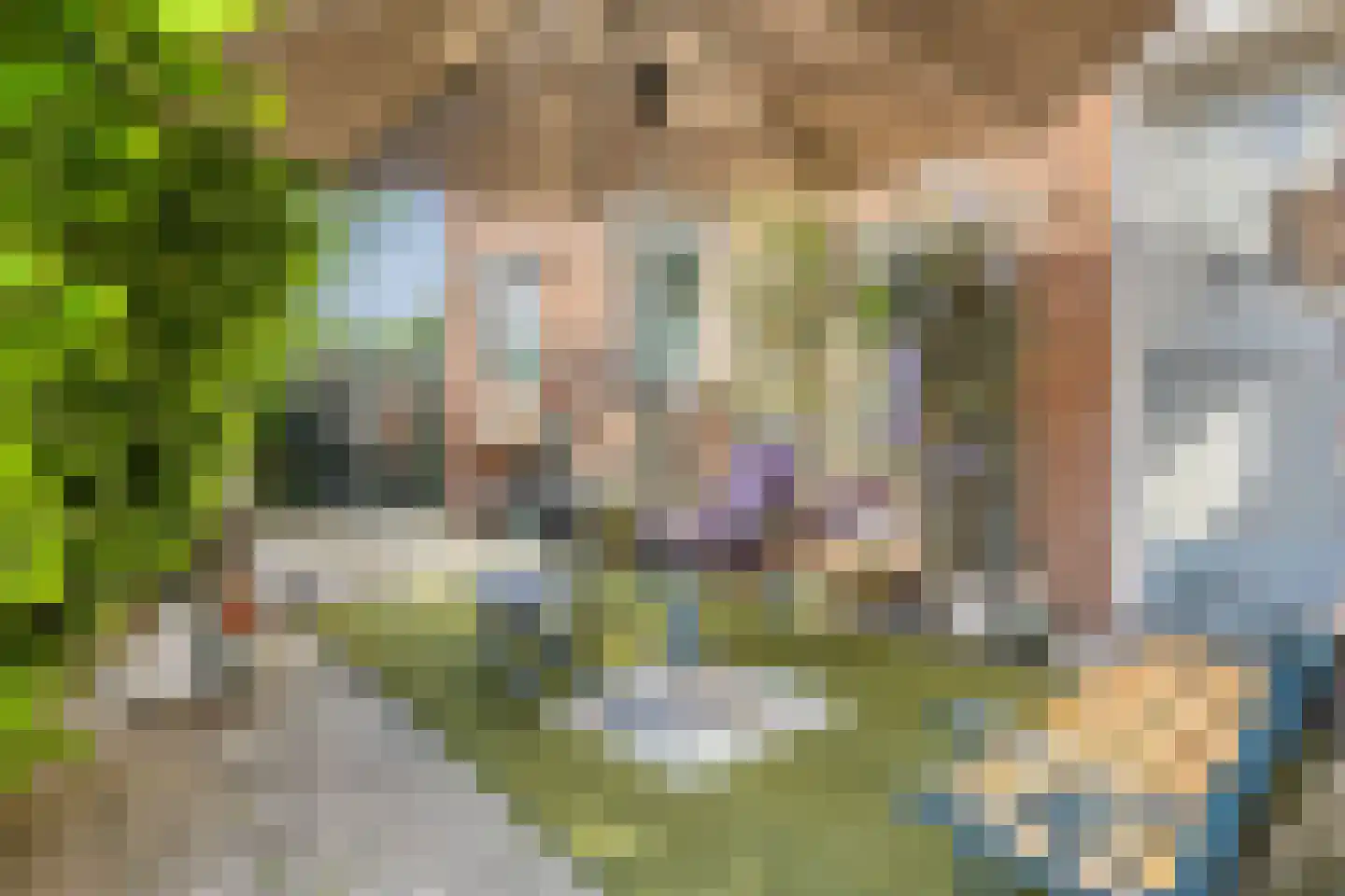 Hoefkensdijk 9 Kuitaart thumbnail 26