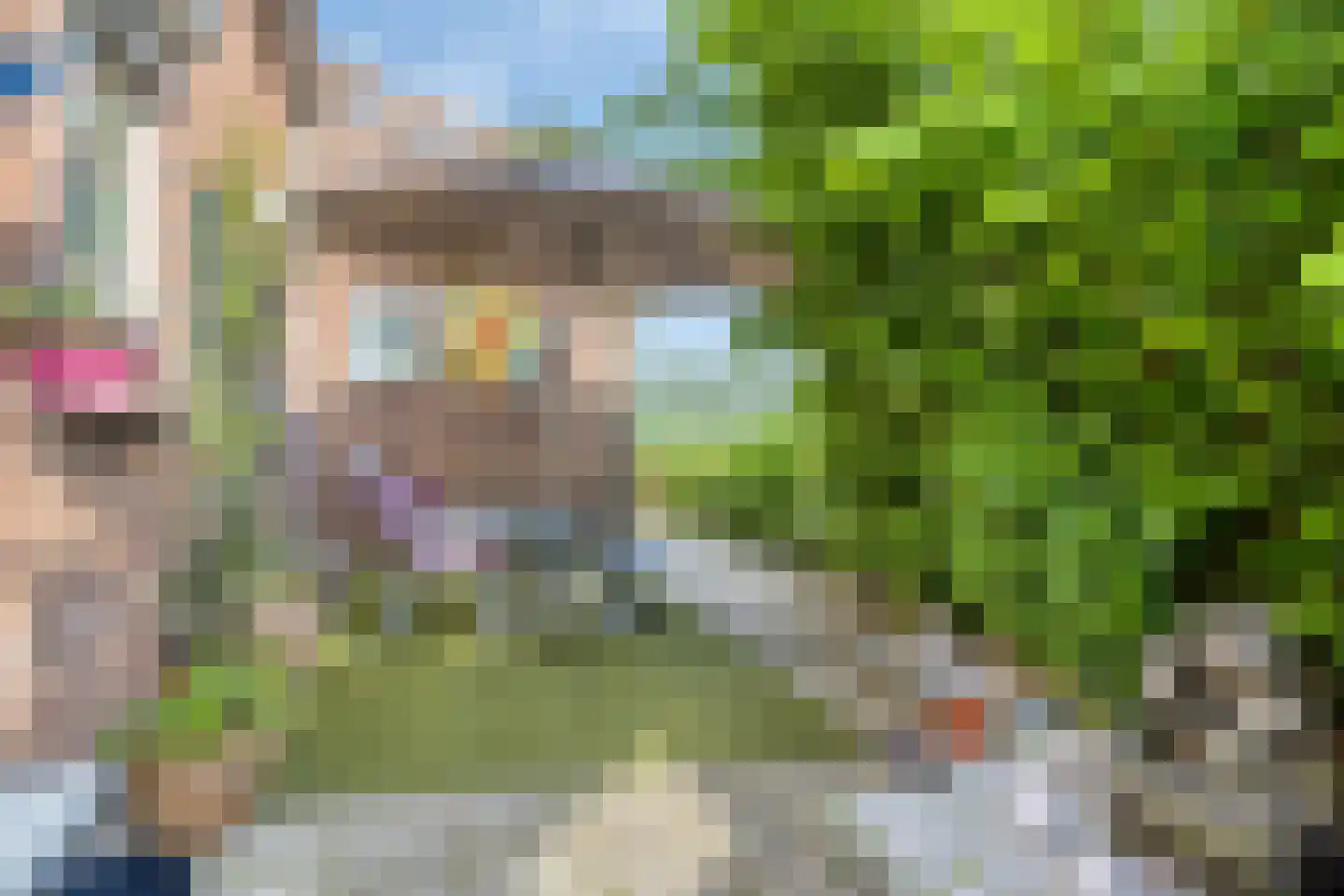 Hoefkensdijk 9 Kuitaart thumbnail 27