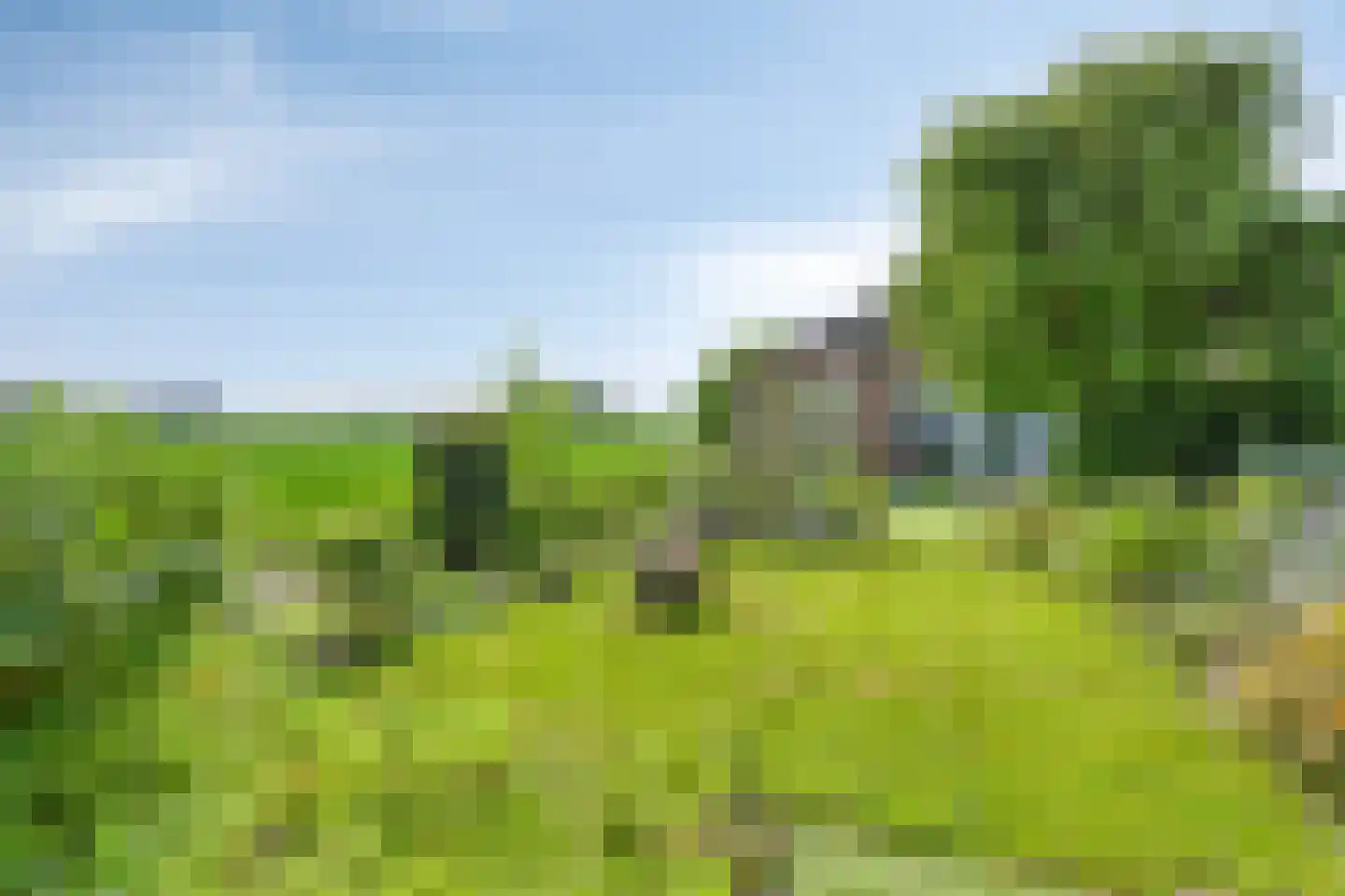Hoefkensdijk 9 Kuitaart thumbnail 31