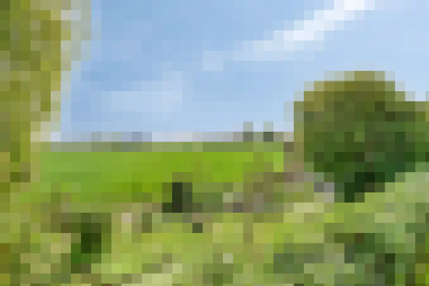 Hoefkensdijk 9 Kuitaart thumbnail 34