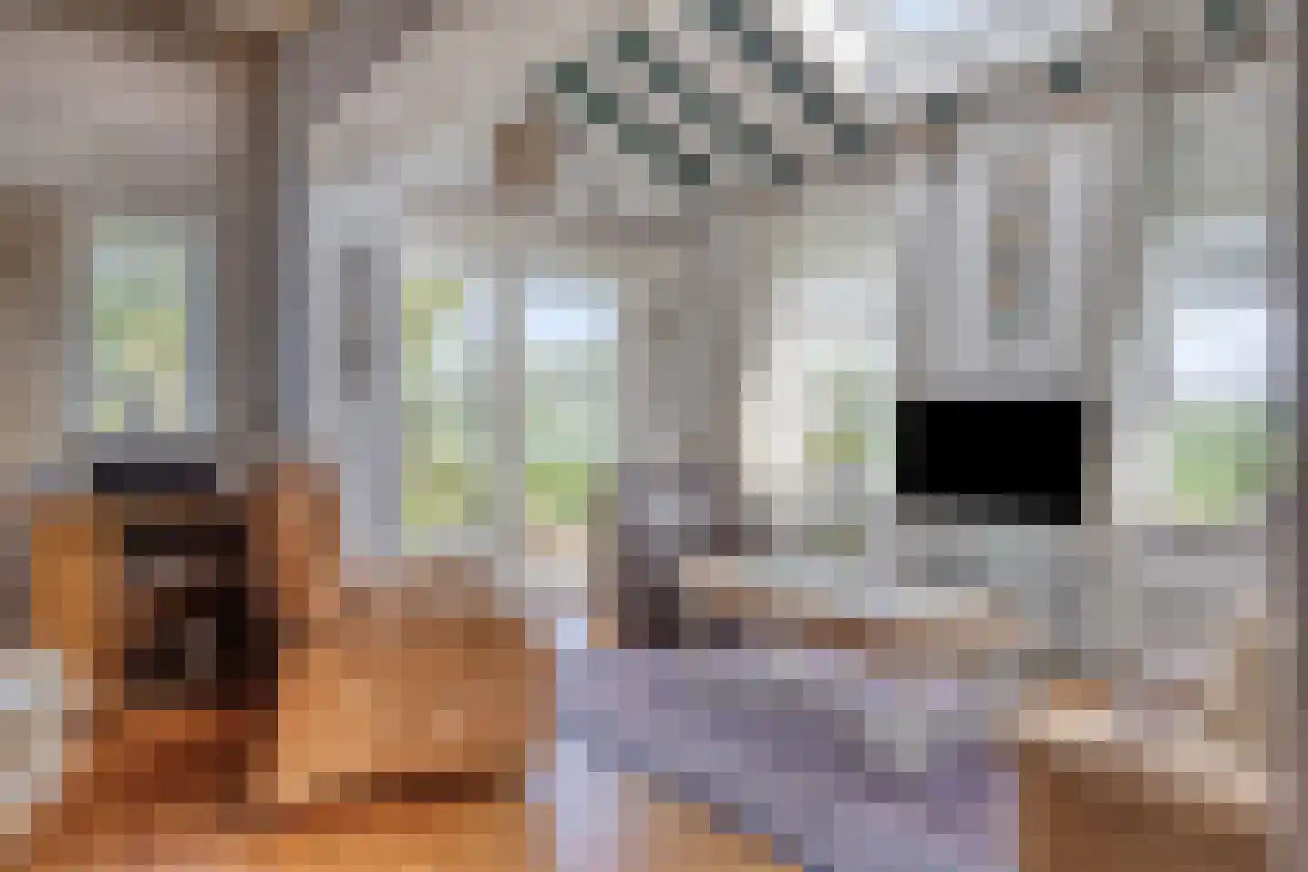Hoefkensdijk 9 Kuitaart thumbnail 4