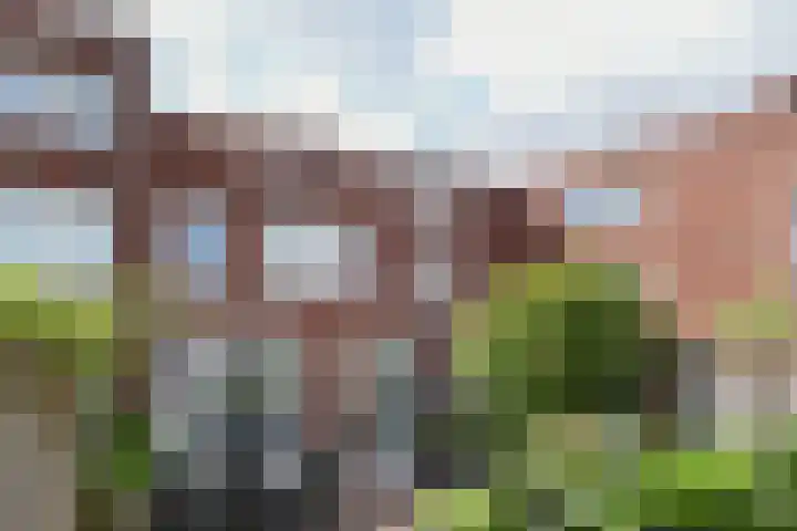 Hoefkestraat 11 A Eindhoven thumbnail 31