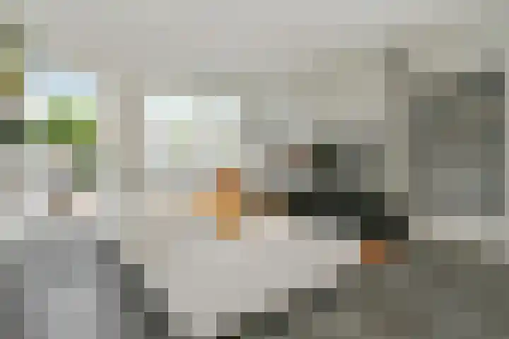 Hoefkestraat 11 A Eindhoven thumbnail 9