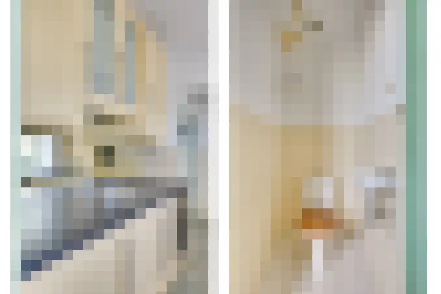 Hoefkestraat 14 Eindhoven thumbnail 15