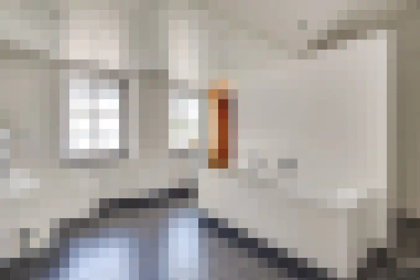 Hoefkestraat 14 Eindhoven thumbnail 22