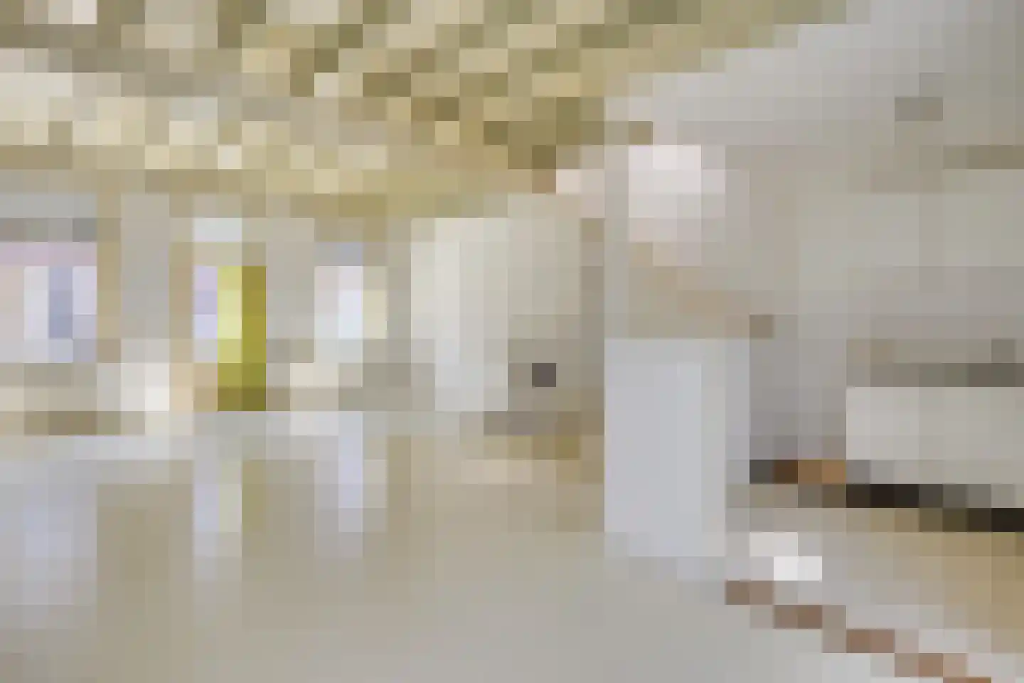 Hoefkestraat 14 Eindhoven thumbnail 35