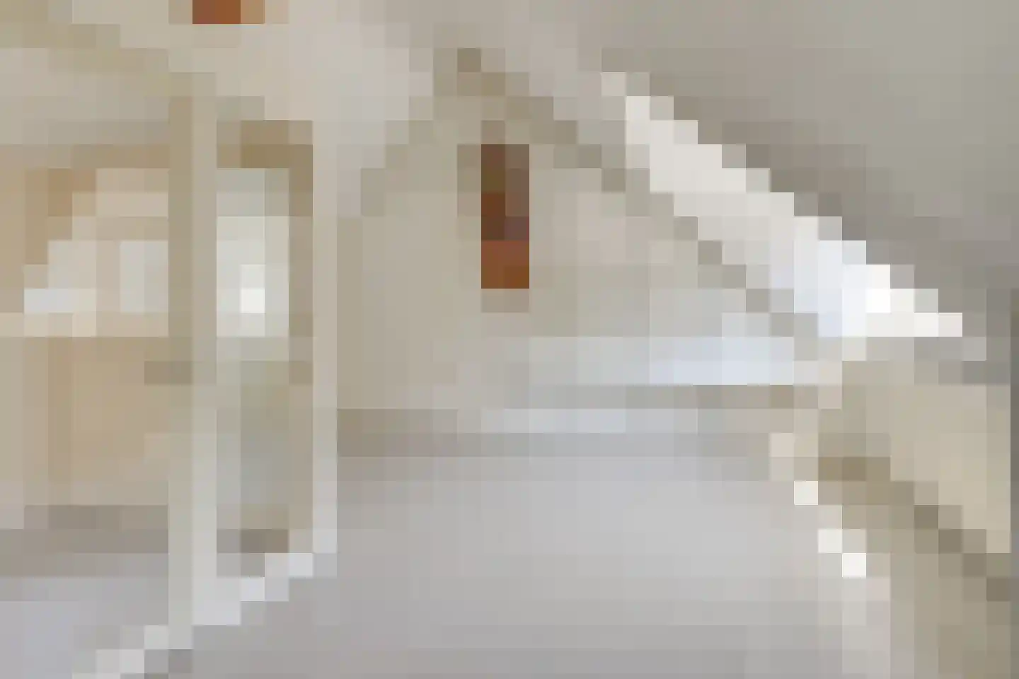 Hoefkestraat 14 Eindhoven thumbnail 43
