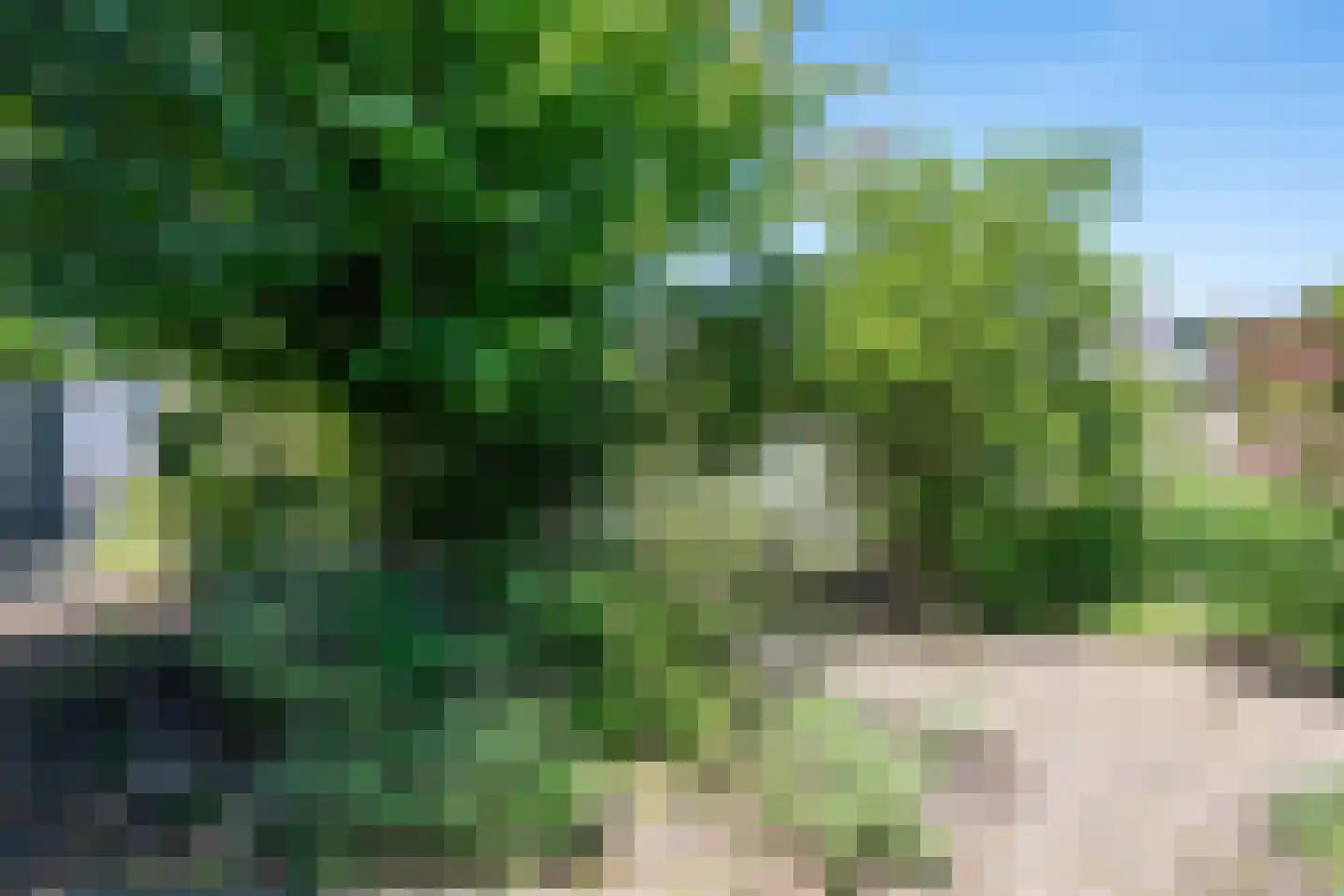 Hoefkestraat 14 Eindhoven thumbnail 49